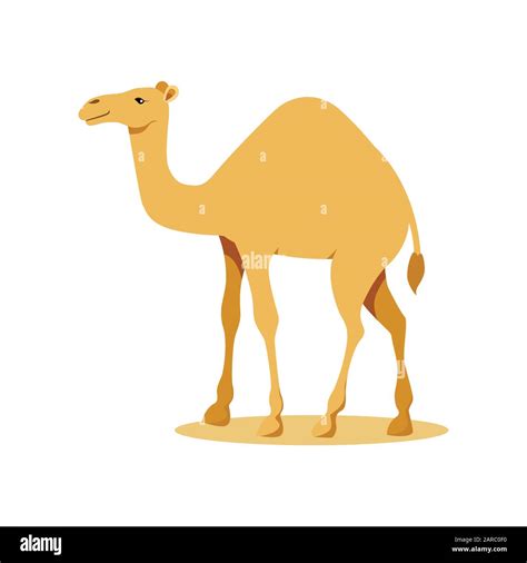 camel vector|camel vector image.